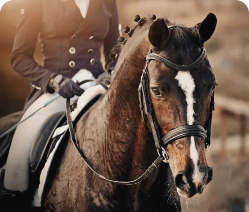 product_swiper_image