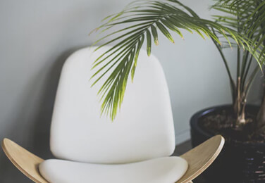 Koltuklar & Şezlonglar